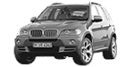 BMW E70 P25B0 Fault Code