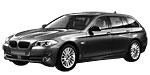 BMW F11 P25B0 Fault Code